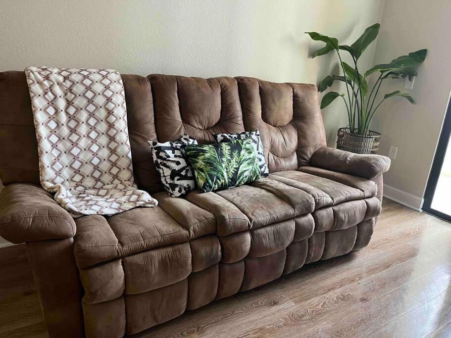 Blooming Journey In Tampa Bay! Apartment Bagian luar foto
