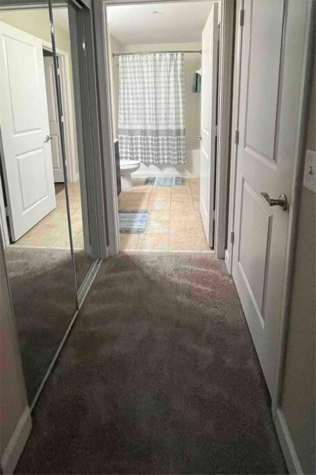 Blooming Journey In Tampa Bay! Apartment Bagian luar foto